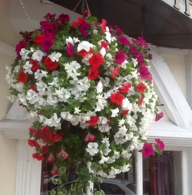 The Tudor Rose Hotel Beverley United Kingdom